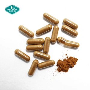 OEM Private Label Nervous Exhaustion Relieve Brain Relax Magnesium Theanine Ashwagandha KavaKava Capsule in Bulk