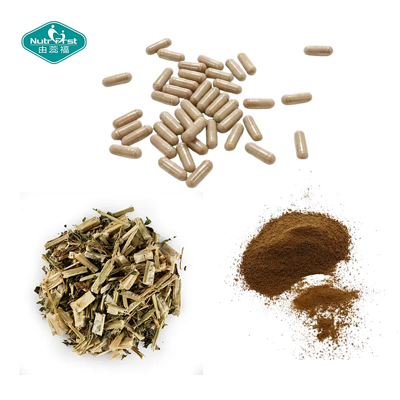Nutrifirst Custom Customization Mood and Sleep Regulation Help with Physical Health Motherwort Capsules
