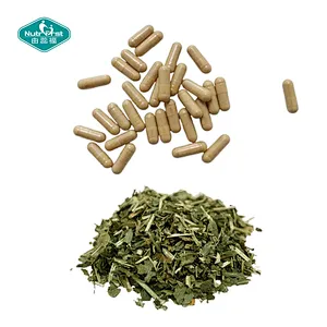 Nutrifirst Custom Customization OEM Powerful Antioxidant Properties Benefits for Joint Stinging Nettles Capsules