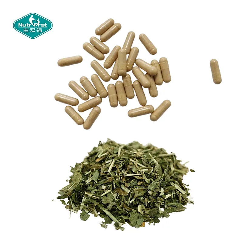 Nutrifirst Custom Customization OEM Powerful Antioxidant Properties Benefits for Joint Stinging Nettles Capsules
