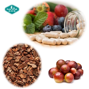 Customized Ear Hearing Health Noise Relief Multivitamin Cysteine Herbal Extract Vegan Capsule in Bulk
