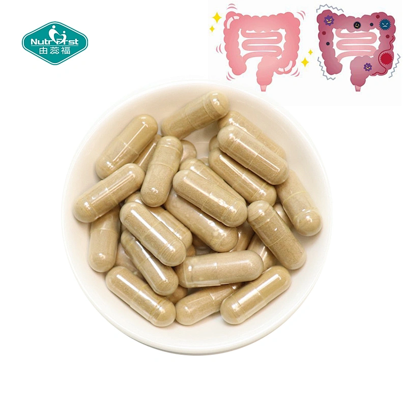 Fórmula Bset, suplementos de mezcla de extracto de hierbas, cápsula protectora intestinal compleja para la salud digestiva intestinal