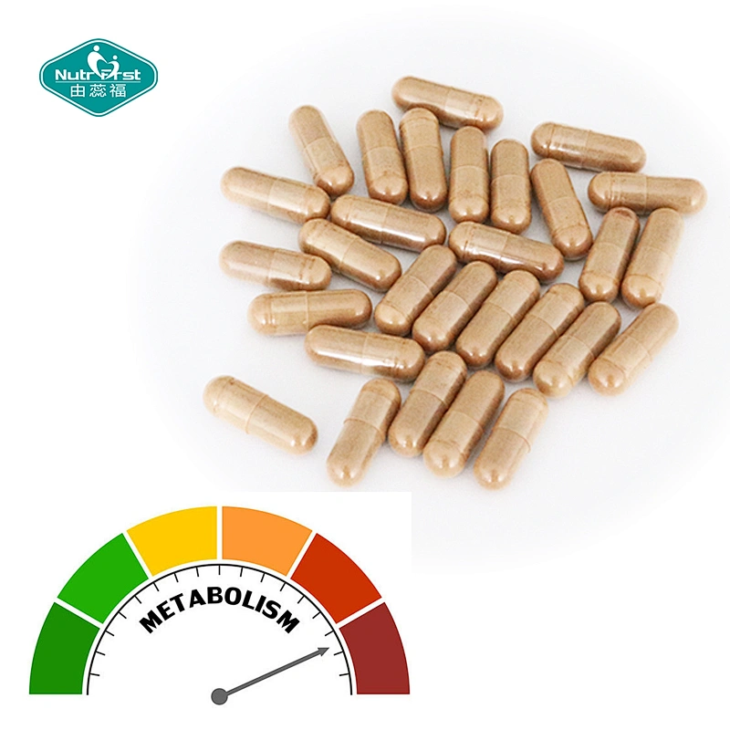 Nutrifirst Best Formula Recipe Pure Herbs Extract Multivitamin Vegan Capsule