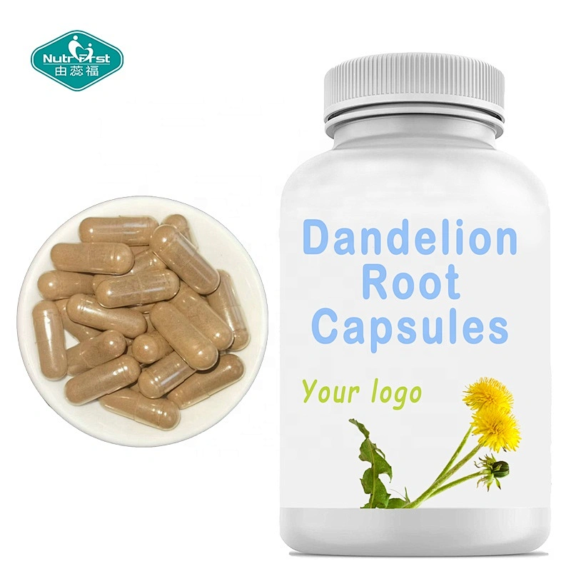 Private Label Food Supplements Dandelion Root Extract Diuretic Herb Capsules Circulation Support