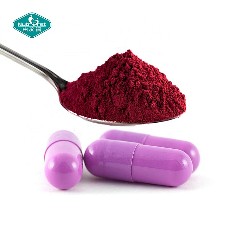 Nutrifirst Immune Support Vitamina C Zinc Cápsulas de extracto de saúco negro para apoyo inmunológico a granel