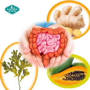 Paquete personalizado OEM, cápsulas de fórmula de extracto herbario probiótico rico en nutrientes para promover la salud intestinal