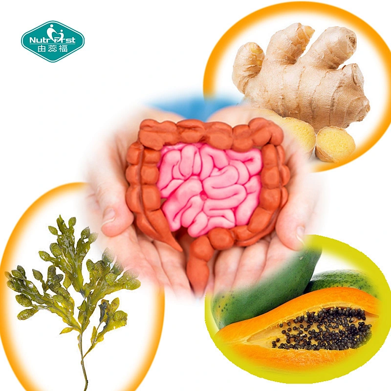 Paquete personalizado OEM, cápsulas de fórmula de extracto herbario probiótico rico en nutrientes para promover la salud intestinal