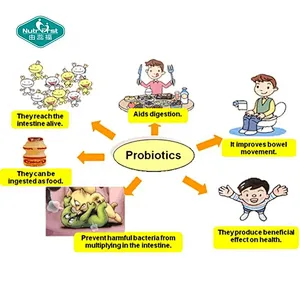 Probiotics Supplements Solid Beverage Probiotics Multi-Strains Premix Instant Drink Powder with Sachet Packing