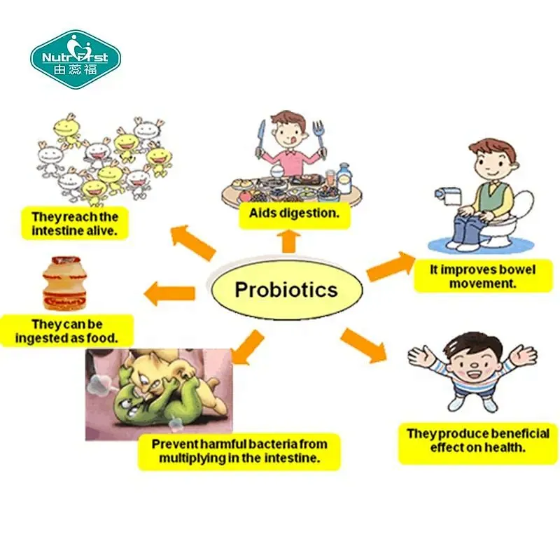 Probiotics Supplements Solid Beverage Probiotics Multi-Strains Premix Instant Drink Powder with Sachet Packing