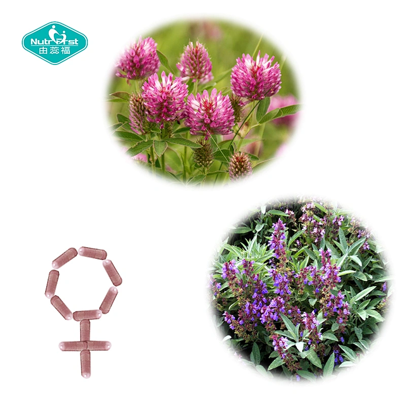 Private Logo Ultimate Powerful Herbal Combination Women Health Red Clover Hops Flaxseed Licorice Vegan Capsule