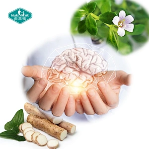 OEM Private Label Nerve Health GABA Phosphatidylserine Alpha GPC Vegan Capsule Pill