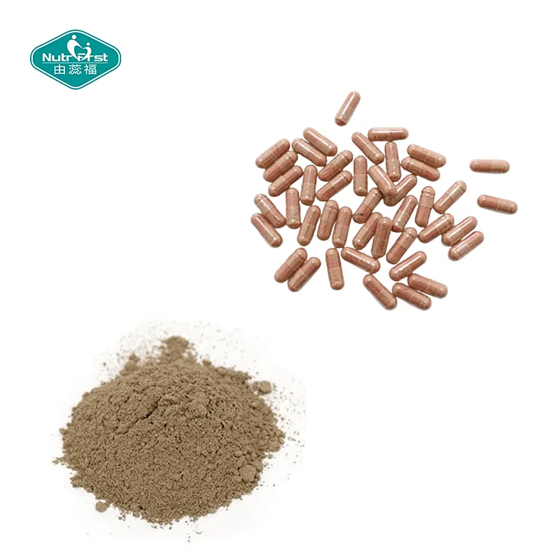 Nutrifirst Custom Customization OEM Herbal Extract Cissus Quadrangularis Extract Capsules