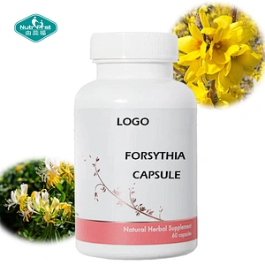 Nutrifirst High Quality Natural Herbal Extract Elderberry Forsythia Veggie Capsules