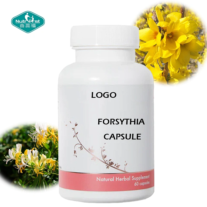 Nutrifirst High Quality Natural Herbal Extract Elderberry Forsythia Veggie Capsules