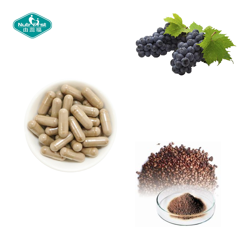 Nutrifirst Custom Customization OEM Anthocyanidin Improve Memory Grapeseed Extract Capsules