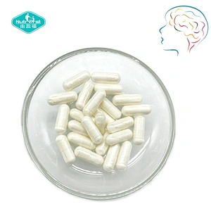 Producto de hierbas Nutrifirst, cápsulas de extracto de Bacopa Monnieri, suplemento cerebral, potenciador de nootrópicos con paquete a medida