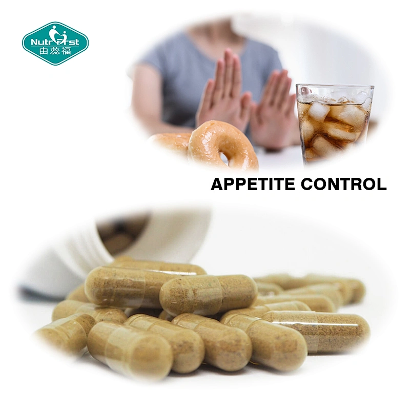 Weight Management High Level Quality Supplement Hoodia Gordonii Extract Powder Vegan Capsule