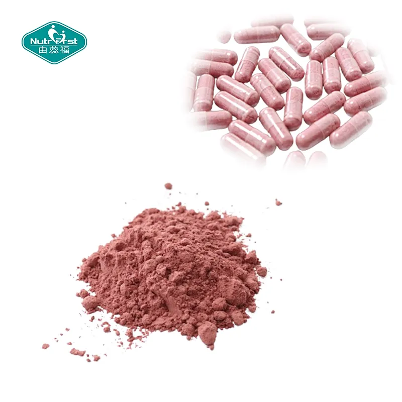 Nutrifirst Dietary Supplement Acai Berries Capsules Benefits for Blood System Dietary Supplement in Bulk