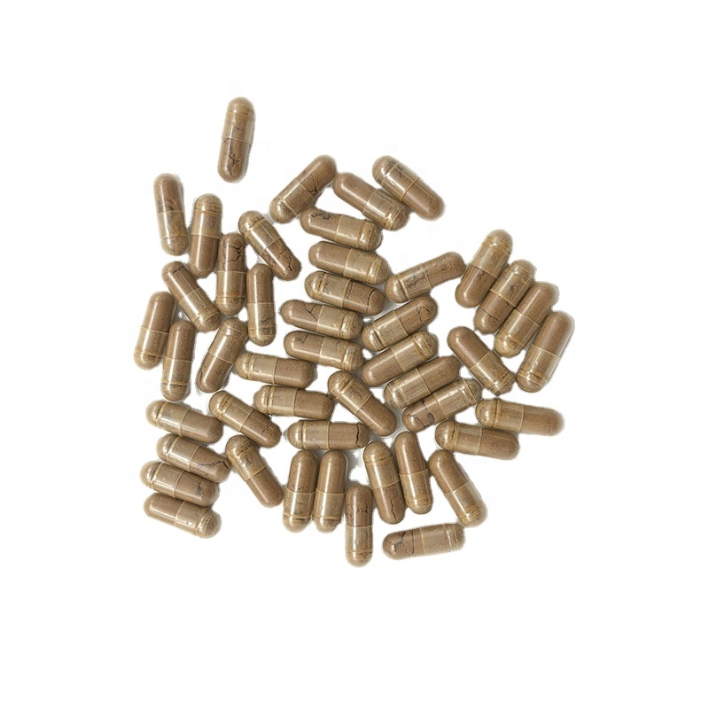 Mejorar la función cerebral Suplemento Reishi Mushroom Lion's Mane Ganoderma Cordyceps Sinensis Cápsulas de extracto