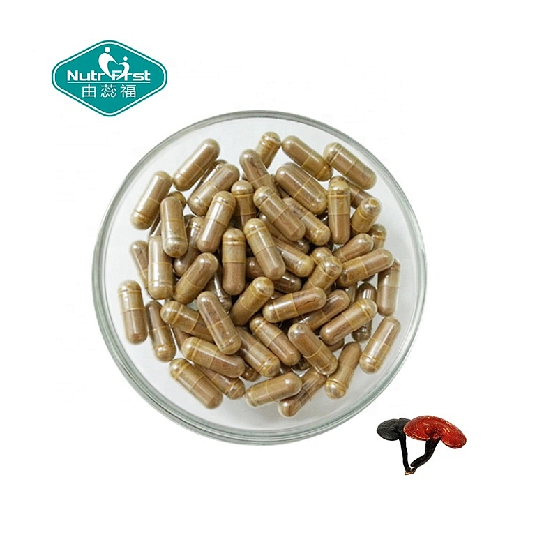 Chinese Herbal Supplements Organic Ganoderma Powder Capsule Herb Reishi Mushroom Lingzhi Extract Pills