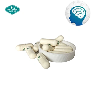 Nutrifirst Herbal Product Bacopa Monnieri Extract Capsules With Bespoke Package
