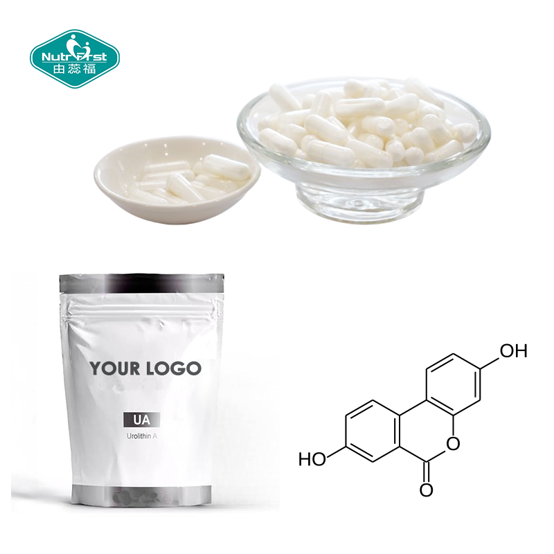 Nutrifirst Custom Customization OEM Urolithin a Capsules