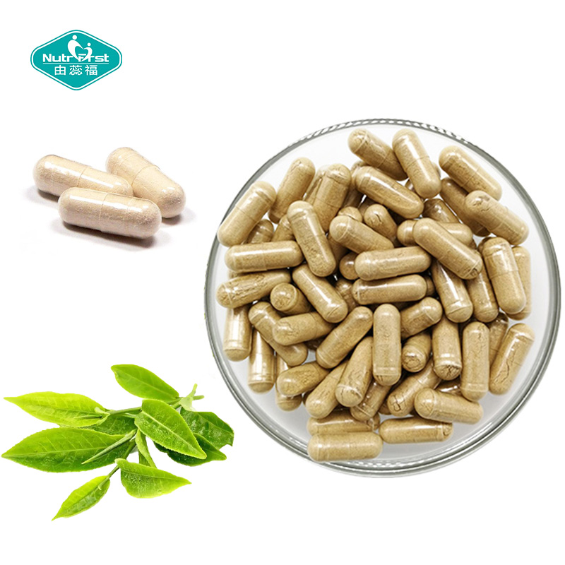 Suplemento de formulación a medida L Carnitine Premium Fat Burning Acetyl L-Carnitine Extracto de té verde Cápsula vegetal