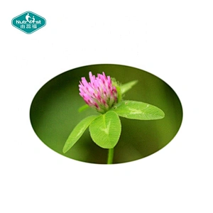 Suplementos para mejorar la menopausia, polvo de Trifolium Pratense, extracto de hoja de tallo de trébol rojo, cápsulas de formononetina