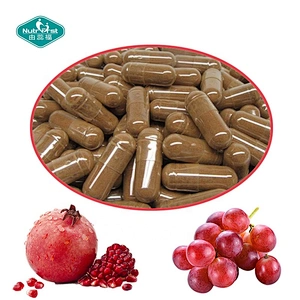 Customized Organic Polygonum Cuspidatum Extract Powder Resveratrol Extract 99% Capsules in Bulk