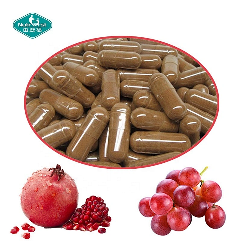 Customized Organic Polygonum Cuspidatum Extract Powder Resveratrol Extract 99% Capsules in Bulk