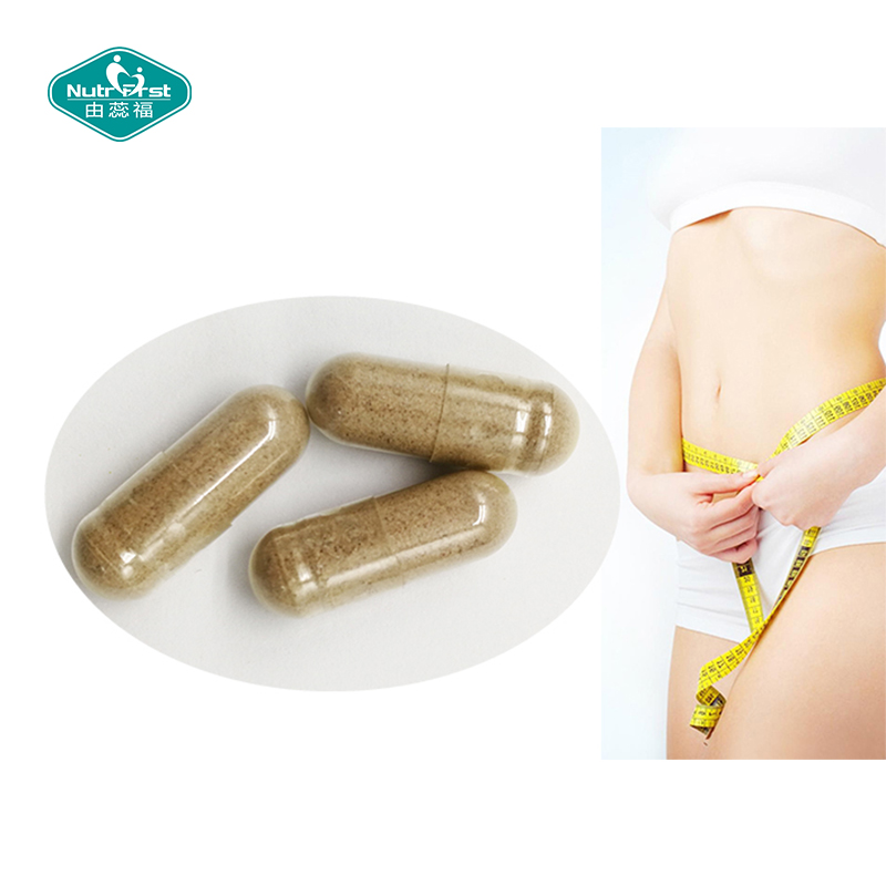 Slimming Supplements Herbal Extract Vitamin B6 Multimineral Complex Capsule