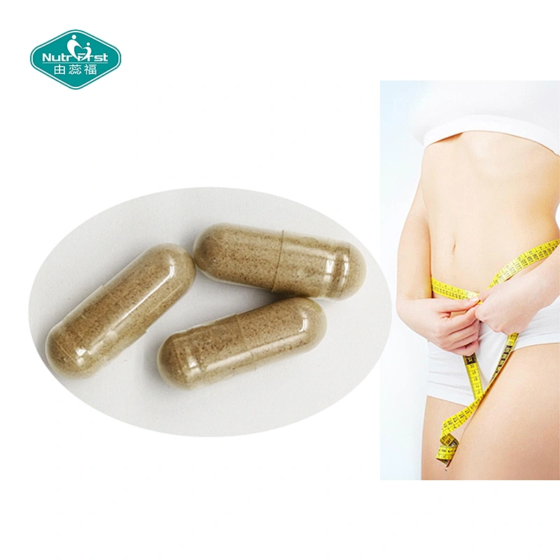 Slimming Supplements Herbal Extract Vitamin B6 Multimineral Complex Capsule