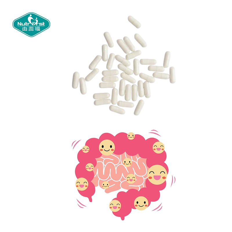 Private Label Manufacture OEM Next Generation Beneficial Strain Akkermansia Capsules for Gut Health
