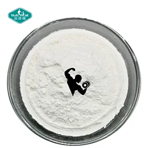 Amino Acid Blend Premix Powder for Dietary Supplement Production