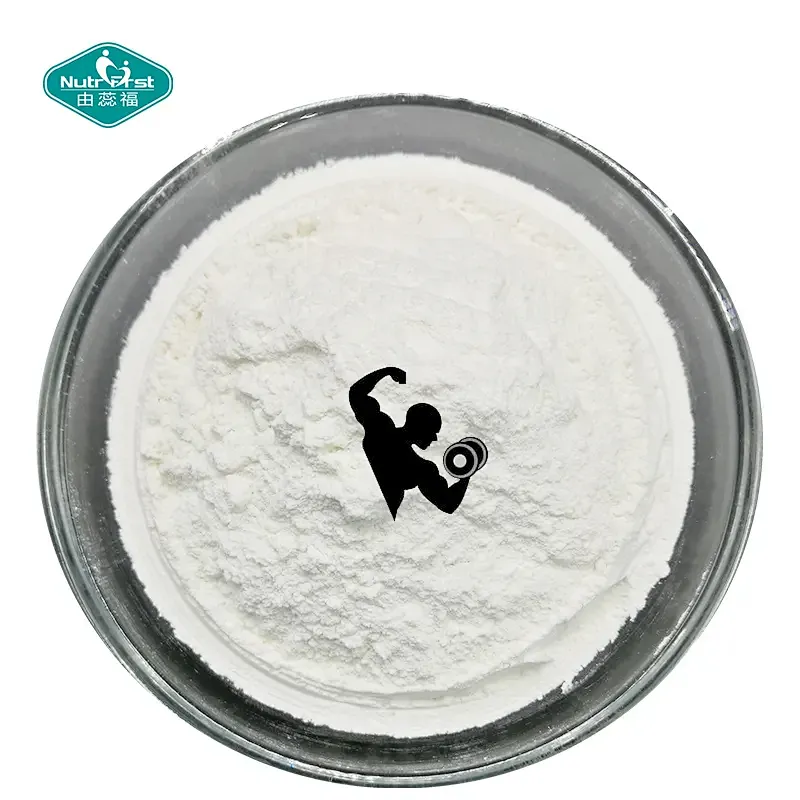 Amino Acid Blend Premix Powder for Dietary Supplement Production