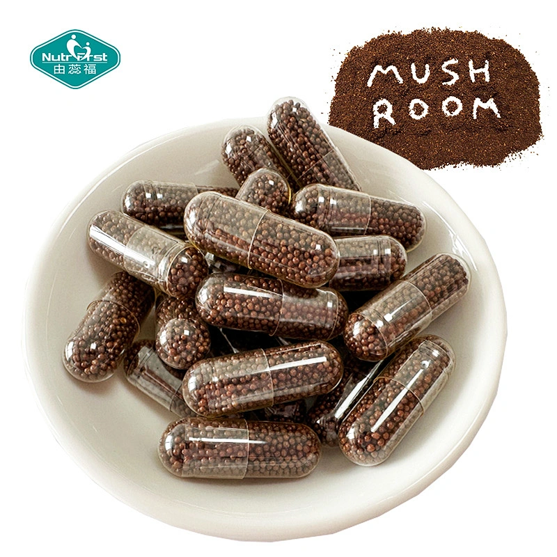 Nootropics Reishi Lions Mane Cordyceps Chaga Shiitake Mushroom Blend Extended Release Beadlets Capsules