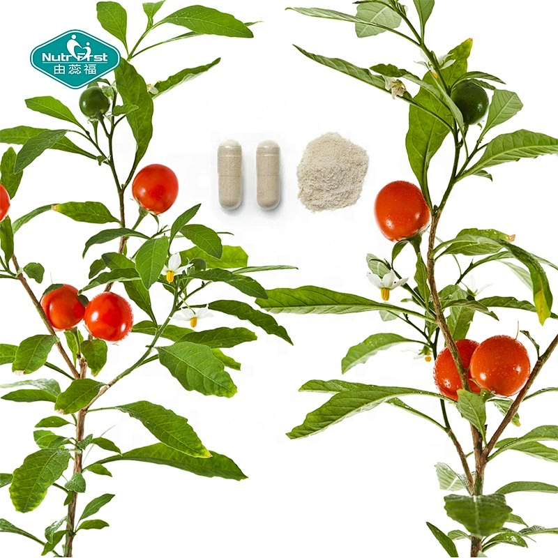 Suplemento de hierbas para mejorar la memoria Nutrifirst, Withania Somnifera Ashwagandha, cápsulas de extracto de raíz en polvo