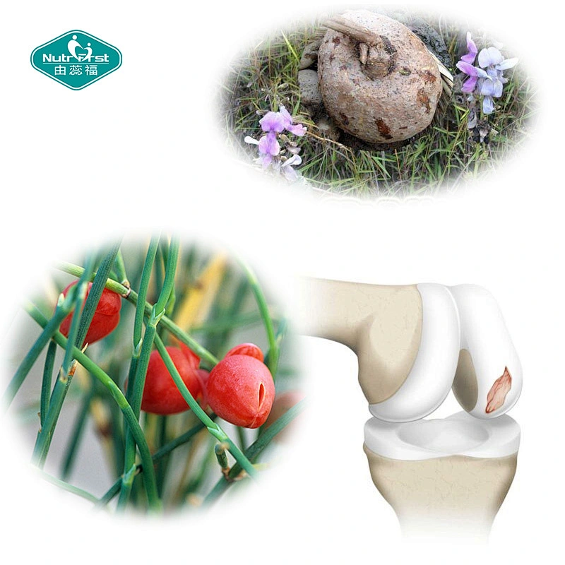 Optimal Herb Combination Supplement Withinia Somniferra Ashwagandha Vegan Capsule
