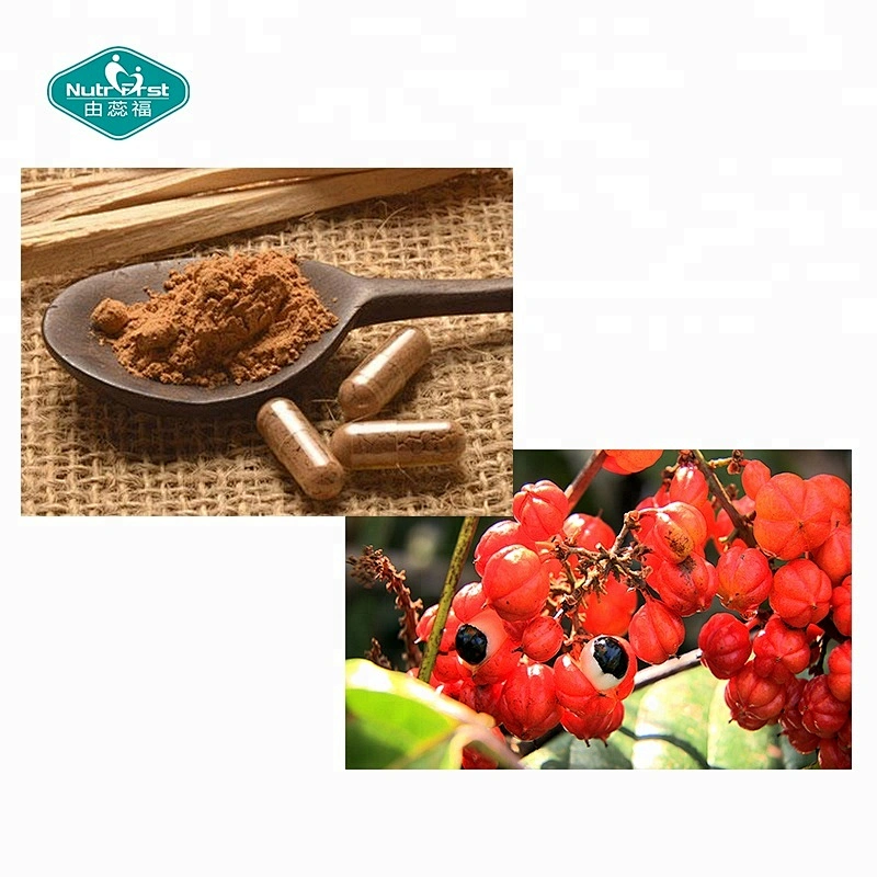 Nutrifirst Private Label OEM ODM Guarana Seed Extract Guarana Powder Capsule