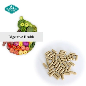 OEM Private Label Herbal Extract Support Liver Function Chicory Artichoke Veggie Capsule for Digestive Health