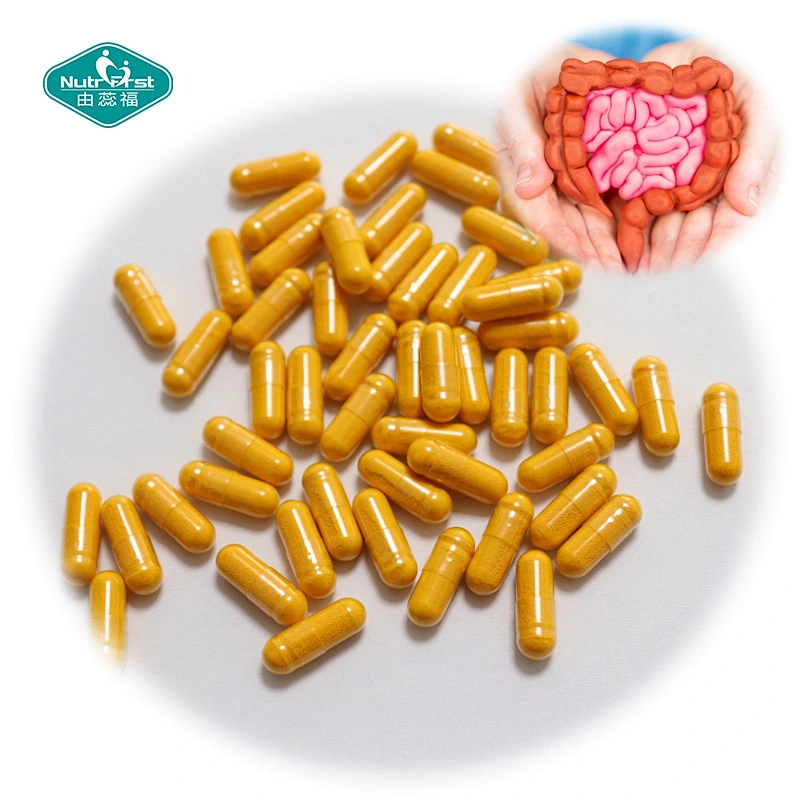 Paquete personalizado OEM, cápsulas de fórmula de extracto herbario probiótico rico en nutrientes para promover la salud intestinal