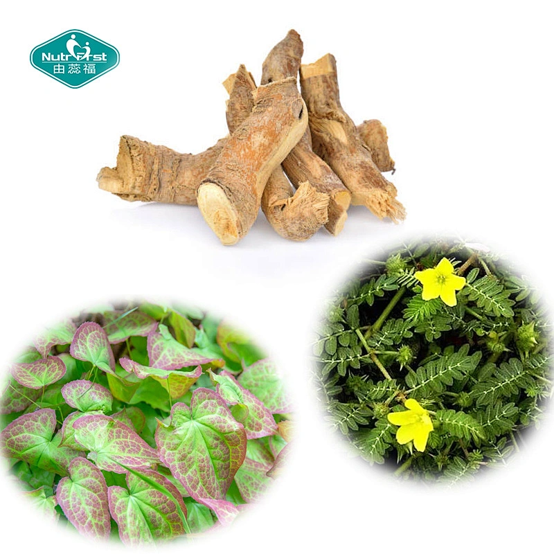 Bespoke Packaging Private Label Sport Supplement Horny Goat Weed Tongkat Al Vegan Capsule