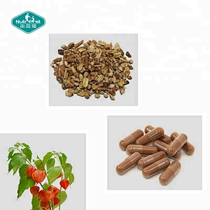 Nutrifirst Ashwagandha KSM 66 Root Withania Somnifera Extracto Suplemento Cápsulas Ashwagandha con embalaje a medida