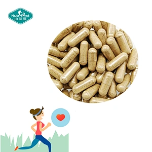 Suplementos de hierbas para el cerebro a medida Cordyceps Sinensis Reishi Lions Mane Mushroom Extract Nootropics Booster Capsule