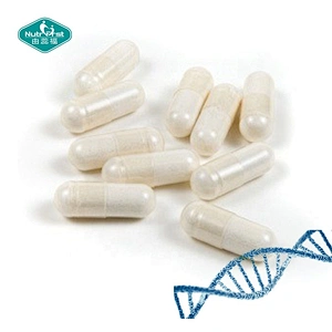 Nutrifirst NMN Supplements Supplier Boost NAD DNA Nicotinamide Mononucleotide NMN Capsules