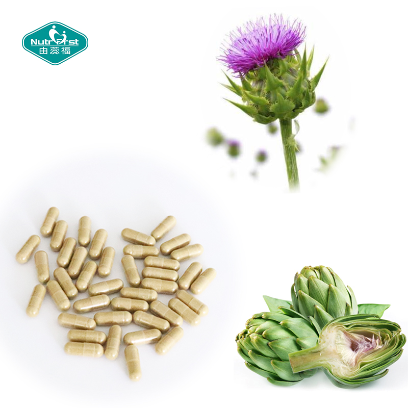 OEM Private Label Herbal Extract Support Liver Function Chicory Artichoke Veggie Capsule for Digestive Health