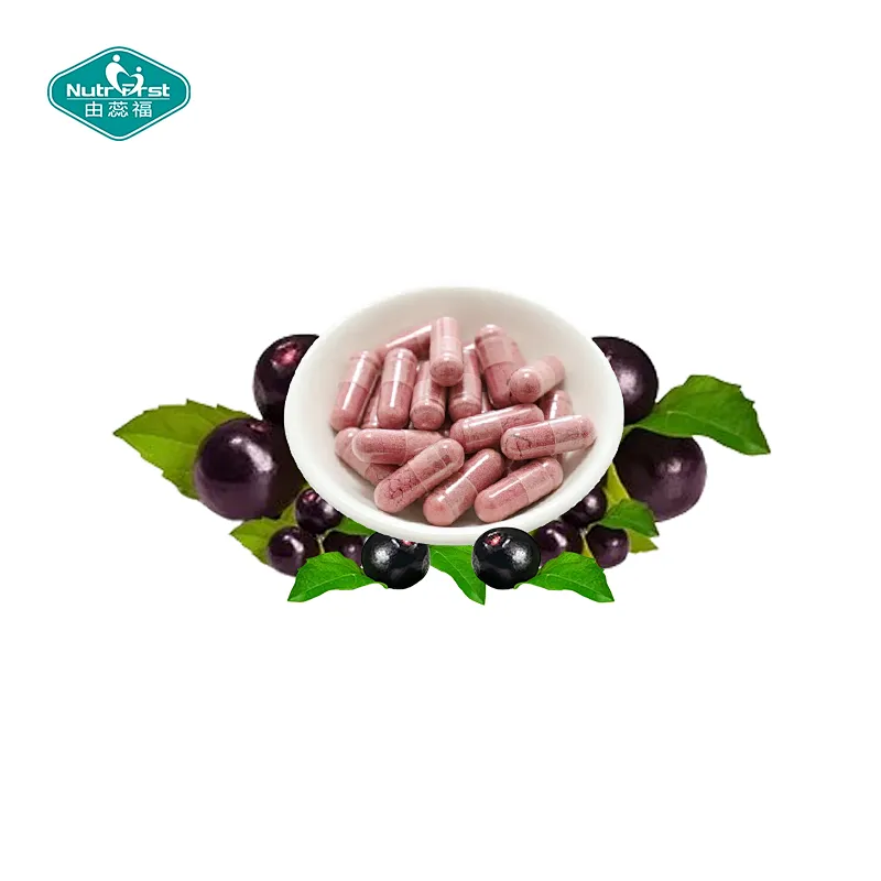 Nutrifirst Dietary Supplement Acai Berries Capsules Benefits for Blood System Dietary Supplement in Bulk