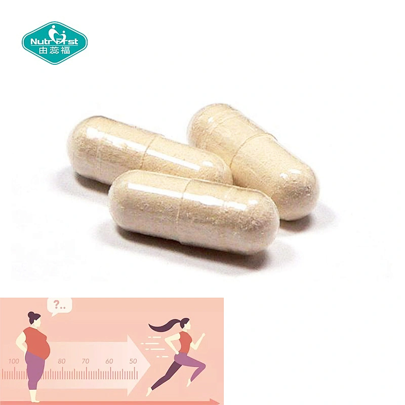 Suplemento de formulación a medida L Carnitine Premium Fat Burning Acetyl L-Carnitine Extracto de té verde Cápsula vegetal