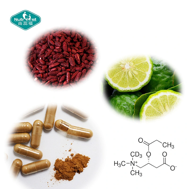 Cápsulas veganas de arroz de levadura roja Camellia Sinensis para la salud de los órganos de etiqueta privada OEM para la salud cardiovascular