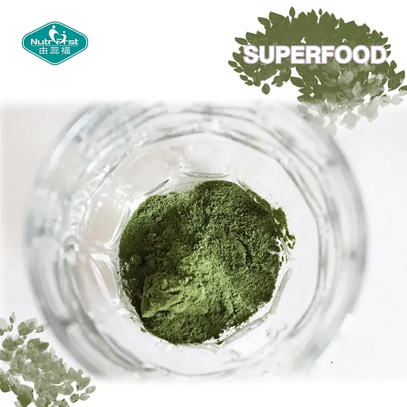 Polvo hecho a medida sano de Chlorella Moringa de la hierba del trigo de la ayuda de la digestión de Nootropic de los verdes